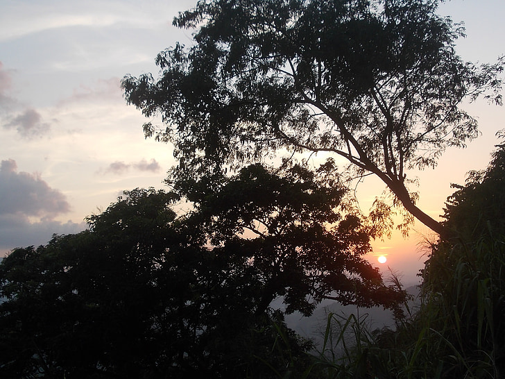 Natura, drzewo, zachód słońca, niebo, Słońce, Sri lanka