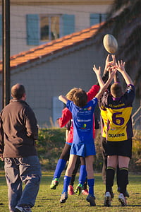 Sport, Rugby, Blau, gelb, Kugel, Aktion, Schlüssel
