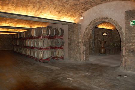 wine cellar, wine, spain, wine barrels