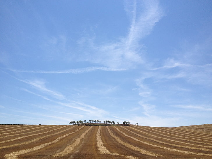 santiago, camino, spain, europe, wheat fields, sky, agriculture