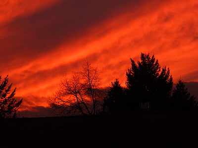 Afterglow, Západ slunce, večerní obloha, Příroda, oranžová barva, soumraku, strom