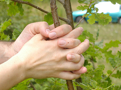 manos, árbol, dedo