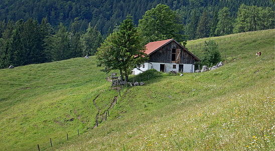 krajina, Příroda, Bavorsko, Horní Bavorsko, Chiemgau, hory, Alm