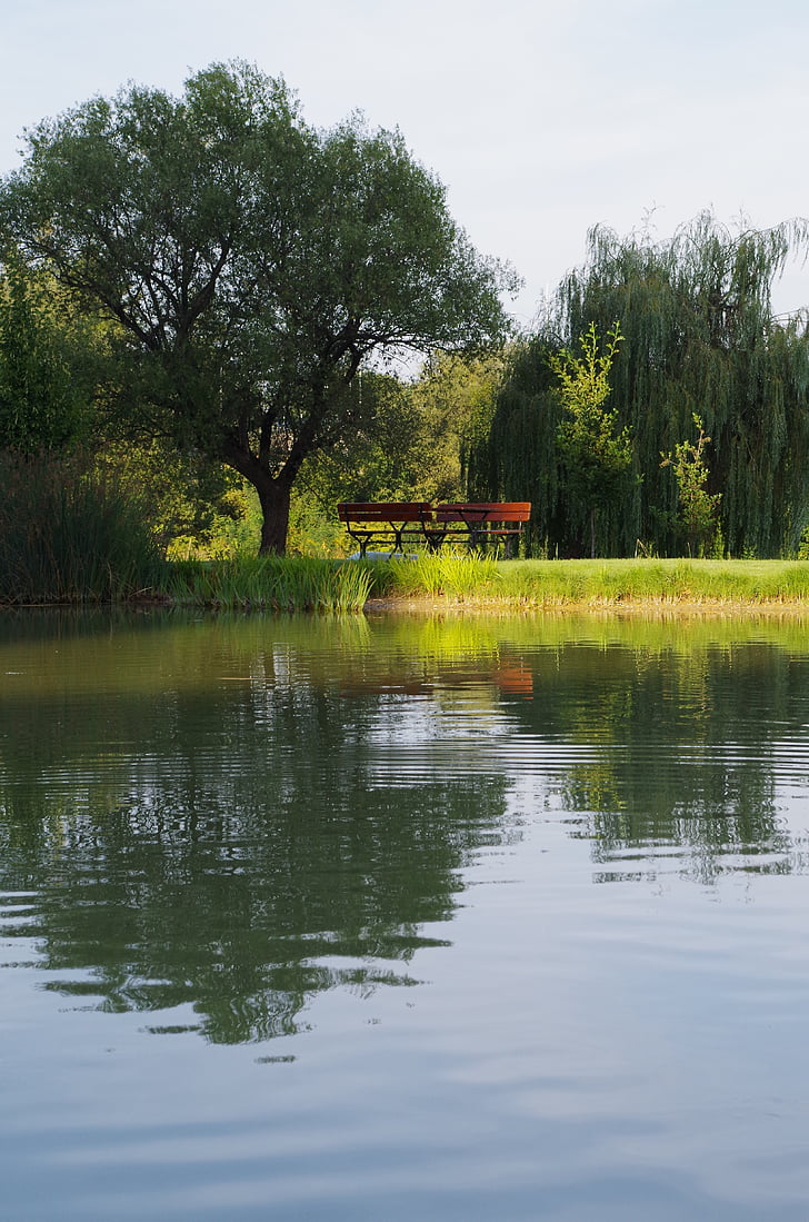 water, bench, reflection, nature, lake