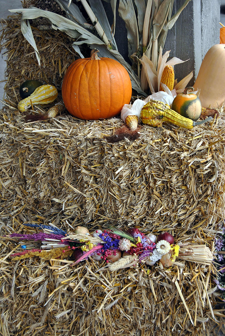 autumn, straw, harvest
