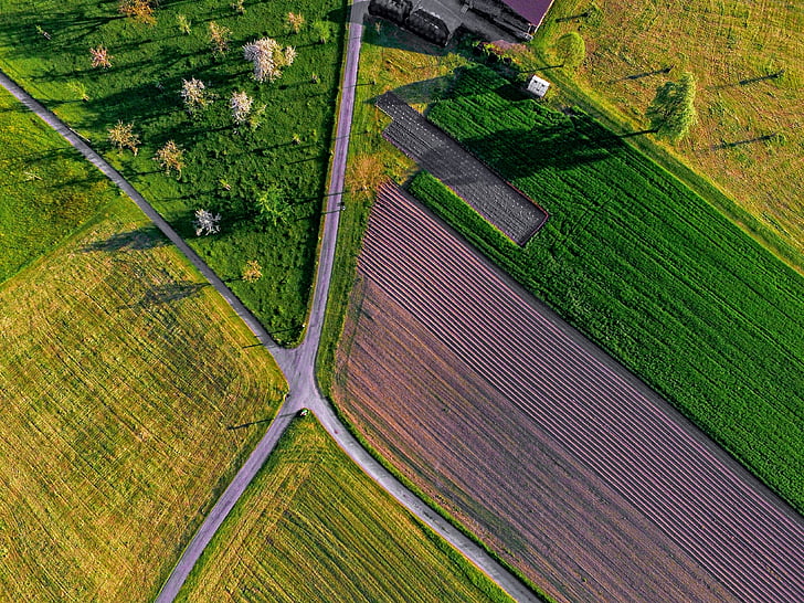 verde, campo, granja, naturaleza, carretera, Ruta de acceso, al aire libre