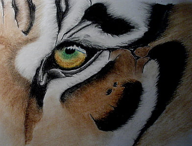 老虎, 眼睛, 图稿, 粉彩