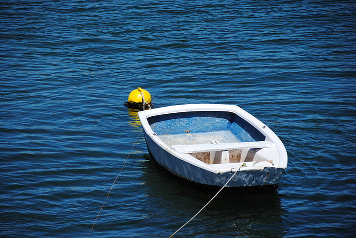 rowing boat, boot, blue, sea, port, boje, fender