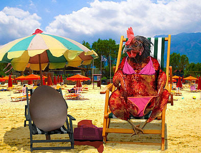 poulet, poulet barbecue, oeuf, plage, brun, sable, nature
