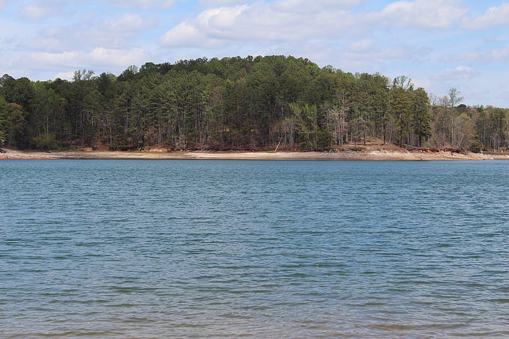Lake lanier, Georgia, GA, Forsyth, agua, Isla, árboles