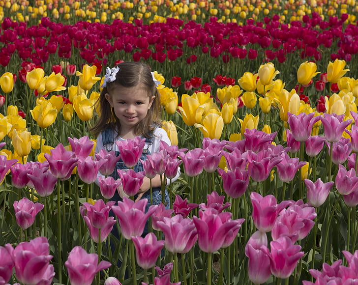 lány, virágok, tulipán, tulipán, a mező, Farm, Oregon
