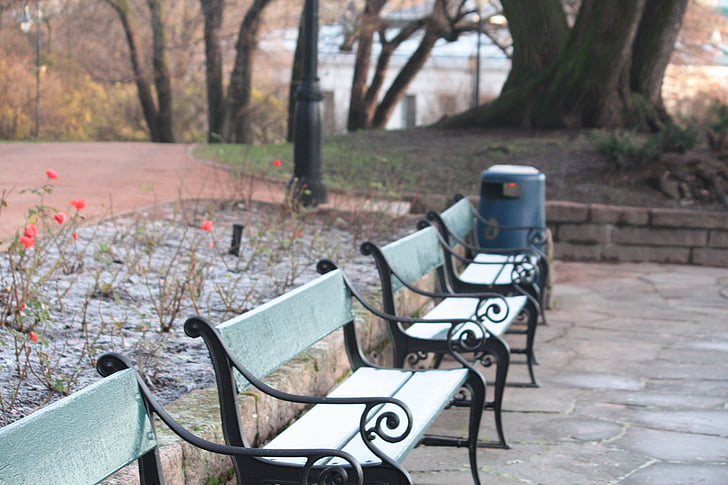 bench, scenic, park, landscape, wooden, outdoor, season