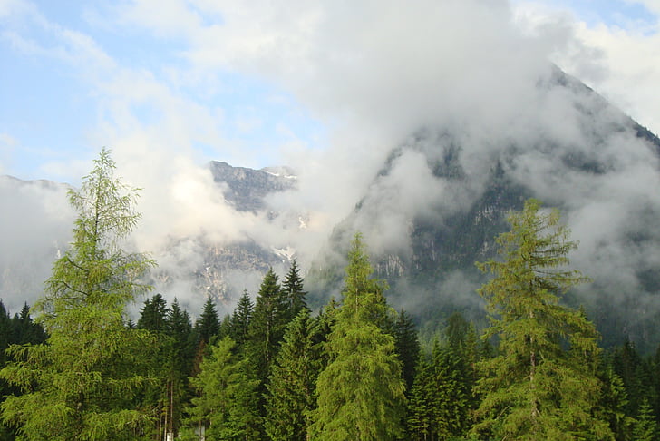 montanhas, nevoeiro, Achensee, floresta, floresta de coníferas, Alpina