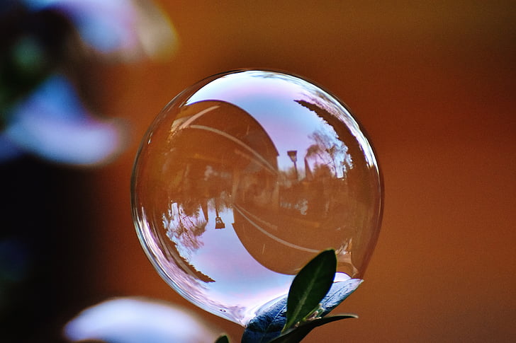 soap bubble, colorful, buxbaum, buxus, balls, soapy water, make soap bubbles