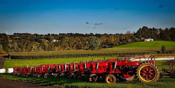 farmall, traktori, vīnogu novākšanas, antīks, iekārtas, lauku, sarkana