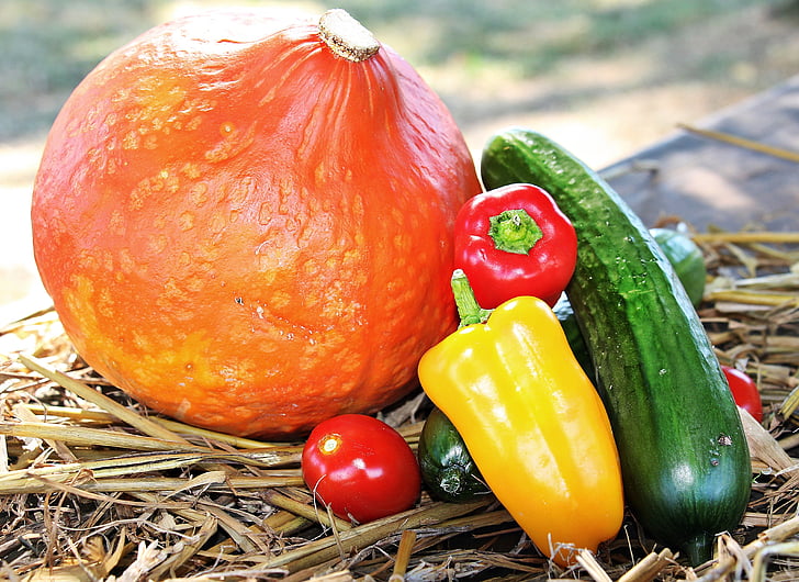 Thanksgiving, pumpa, paprika, gurka, tomat, hösten, hösten dekoration
