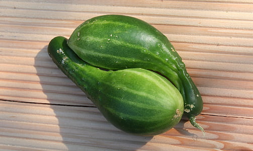 cucumbers, pair, vegetables