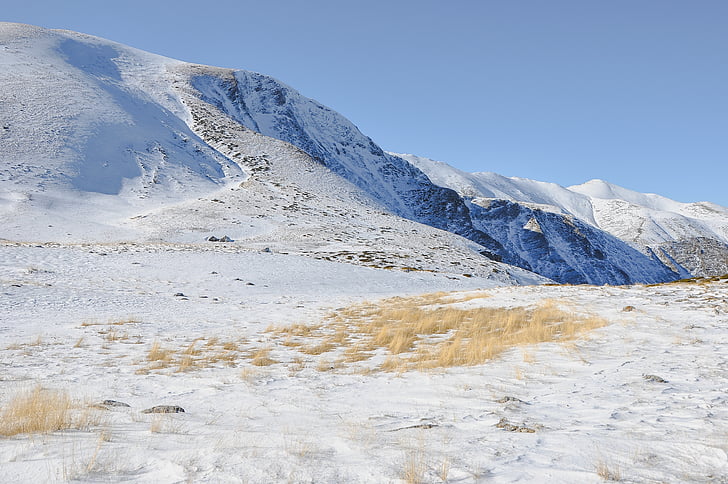 Zdjęcie, śnieg, pokryte, góry, Highland, trawa, Natura