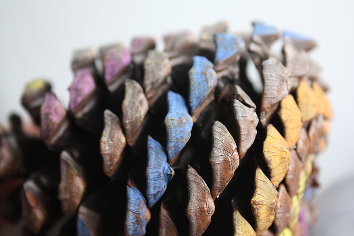 cone, decoration, nature, wood, colorful, texture