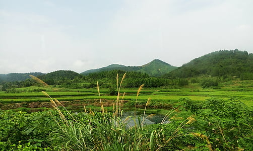 the scenery, green, natural, mountain, meadows, lake, pond
