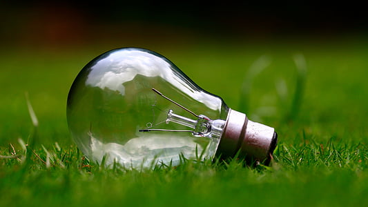 gräs, glödlampa, energi, ljus, grön, elektricitet, miljö