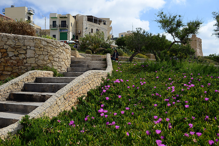 Malta, gozo, escaleras, poco a poco, edificio, verde, púrpura