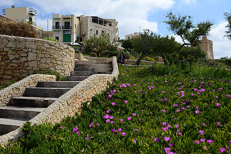 Malta, Gozo, stopnice, postopoma, stavbe, zelena, vijolična