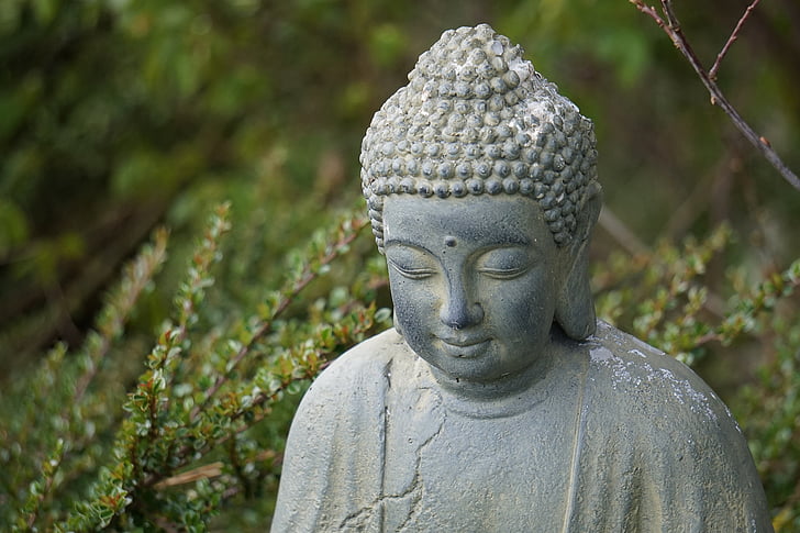 Buda, assegut, Retrat, religió, meditació, figura, Àsia