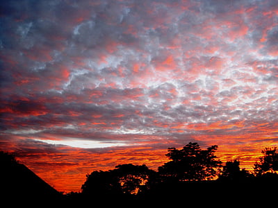coucher de soleil, nuages, parchy, vrac, orange, arbres, silhouette