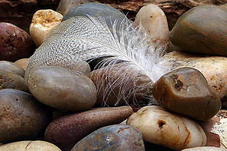 nature, Cairn, printemps, un peu, pierres, plume