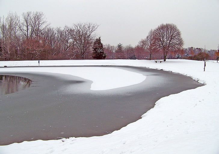 frozen, pond, winter, ice, snow, trees