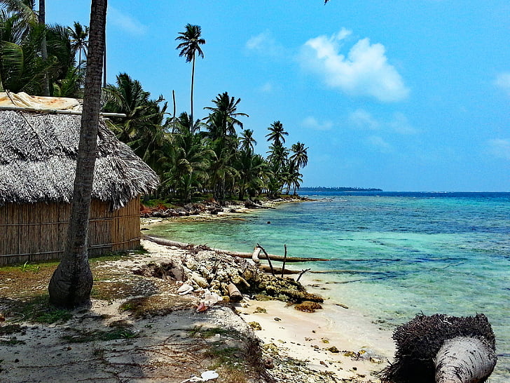 Isla diablo, San blas, Panama, GUNA yala, Karibská oblast, ostrov, Palmové stromy