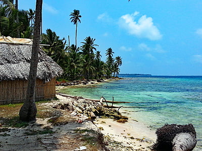 Isla diablo, San blas, Panama, Guna yala, Kariibi mere saared, Island, Palm puud