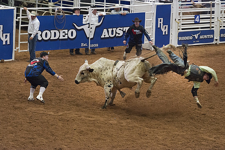 Cowboys, Bull rider, Rodeo, ember, bakugrás, őszi, Dirt