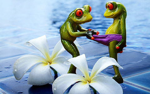 frogs, curious, funny, swimming pool, figures, cute, underpants