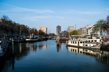 Роттердам, гавань, лодки, здания, нормальный, Морские судна, гавань