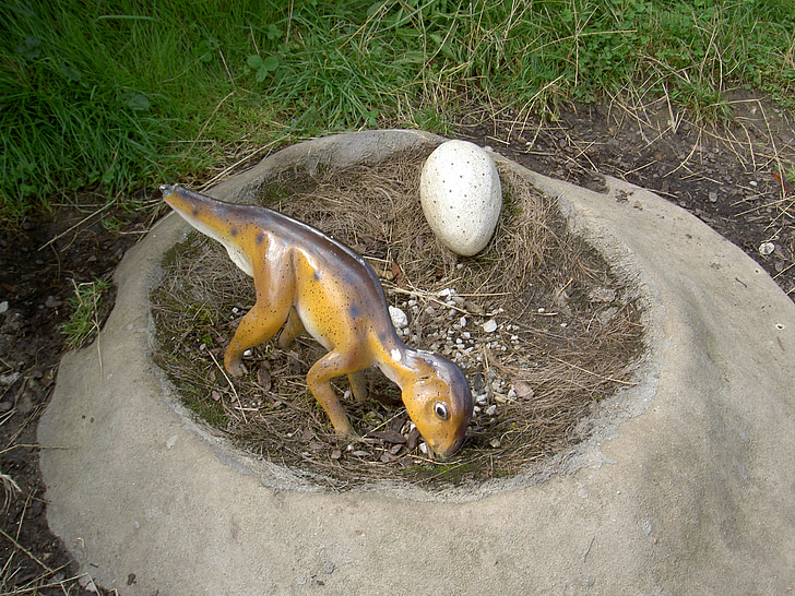 dinosaur nest, egg, earth, grass, park