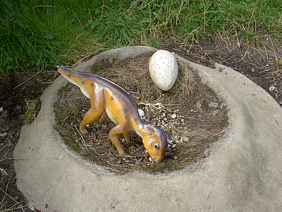 Dinosaur hniezdo, vajcia, zem, tráva, Park