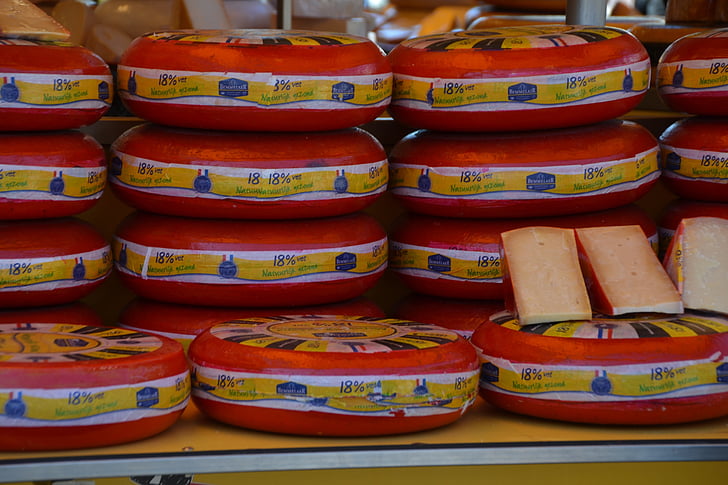 cheese, eat, food, delicious, holland