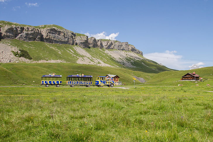 turistinis traukinys, kalnų geležinkelio, melchsee-frutt, namas, ūkio, kraštovaizdžio, kaimo scena