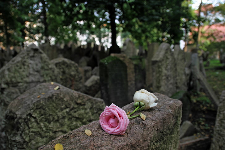 Cementerio, judía, flor, piedra sepulcral, tumba, Praga, Hebreo