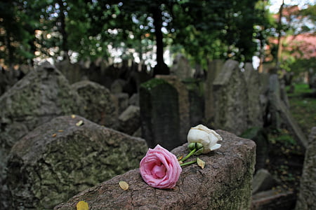 墓地, ユダヤ人, 花, 廃棄 (tombstone), 墓, プラハ, ヘブライ語