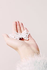 hand, woman, woman's hand, female, butterfly, close, girl