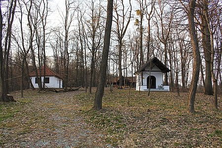 huizen, Kapel, Memorial, Memorial chapel, boom, het platform