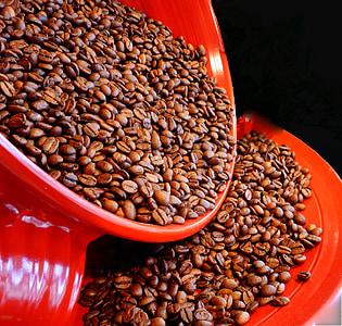cafè, grans de cafè, aroma de, cafeïna, rostit, torrat, fesols
