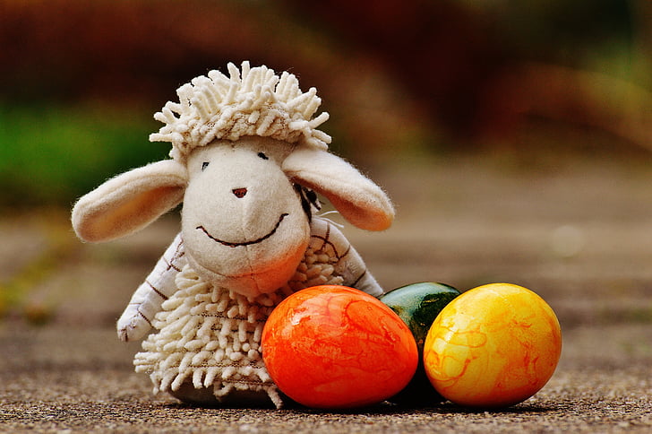 pecore, uovo, colorato, primavera, Pasqua, decorato, Figura