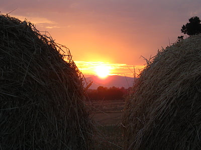 Sunset, vesipisara, Hay, maisema, Maremma, Toscana, kesällä