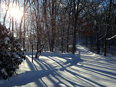 NJ, winter, schaduwen, sneeuw, zonlicht, landschap, hemel
