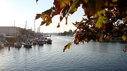 water, river, leaves, nature, sunlight, boats