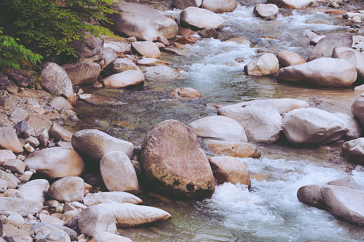 environment, flow, leaves, outdoors, plants, river, rock